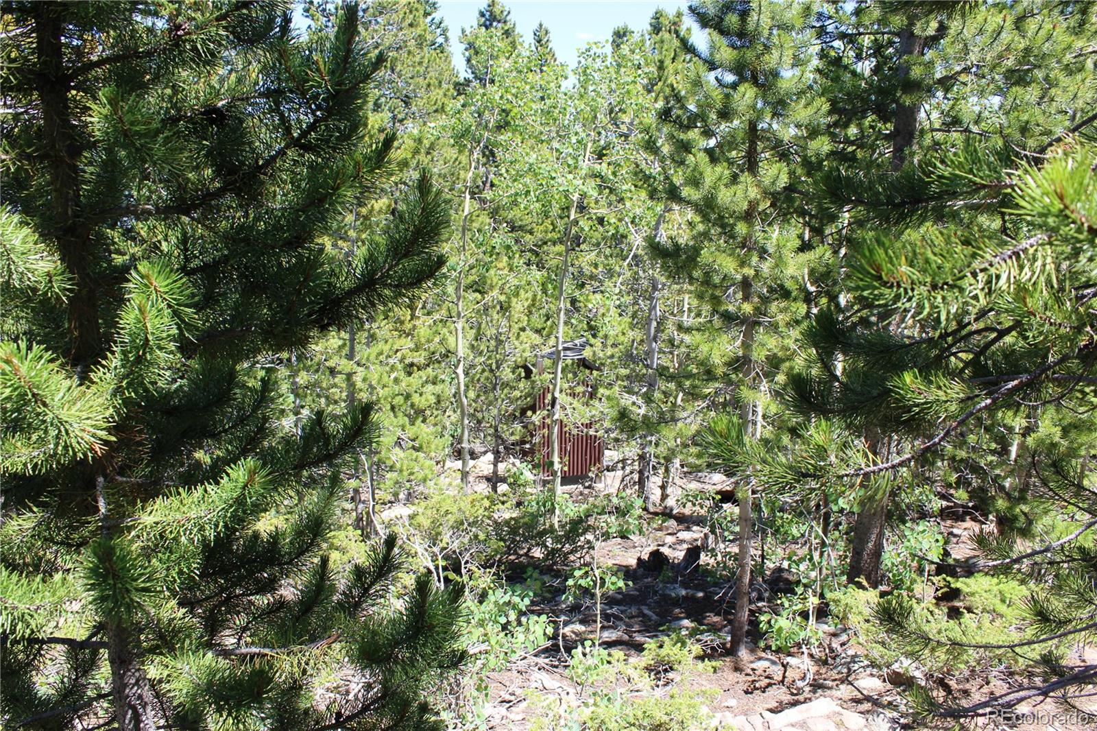 1595 Missouri Gulch Road