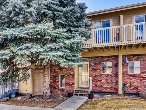 212 S Oman Road Castle Rock CO 80104