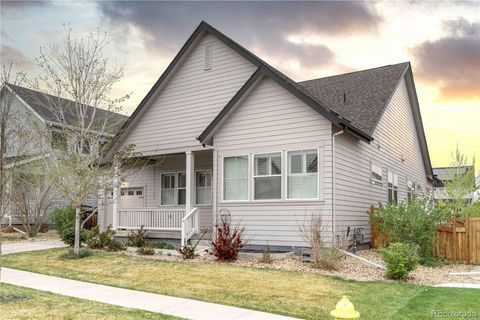 4445 Tanner Peak Trail Brighton CO 80601