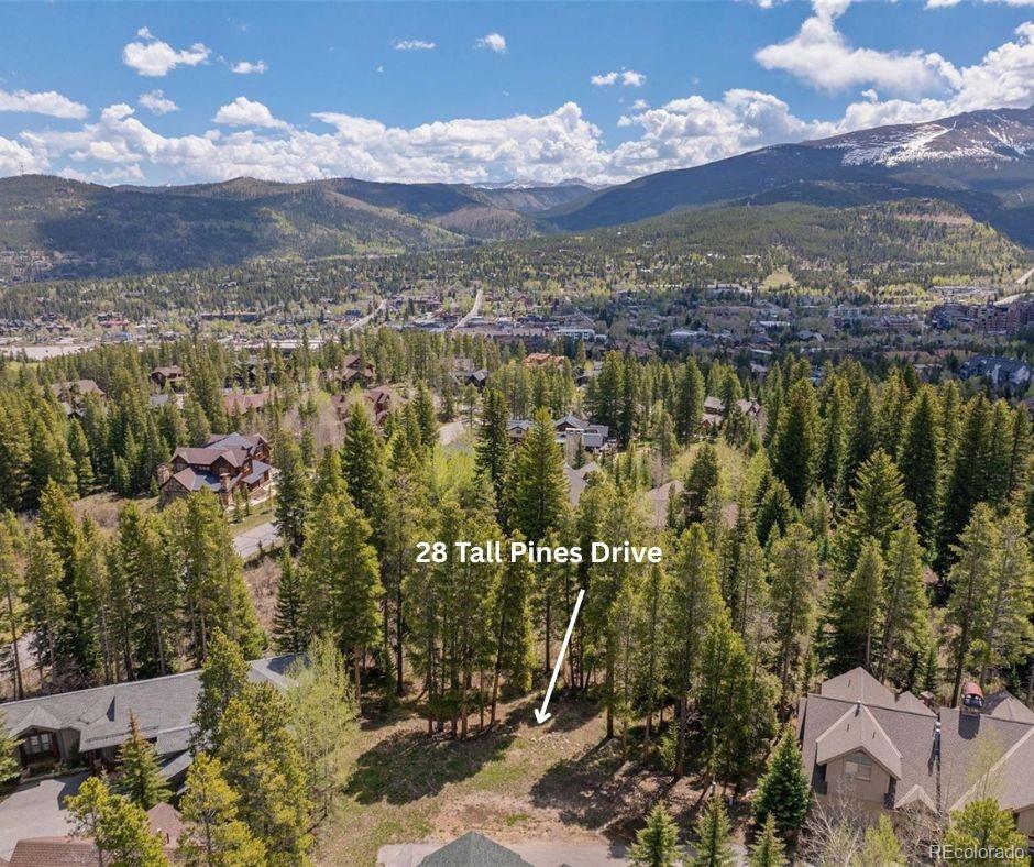 28 Tall Pines Drive