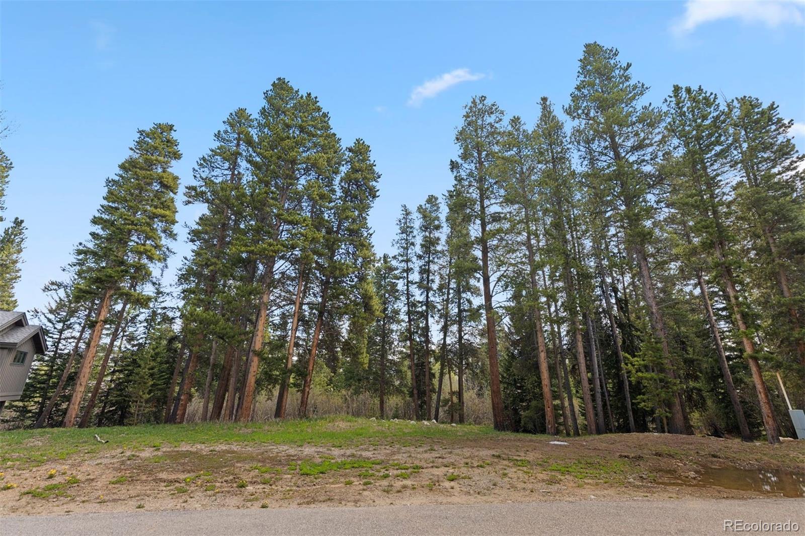 28 Tall Pines Drive