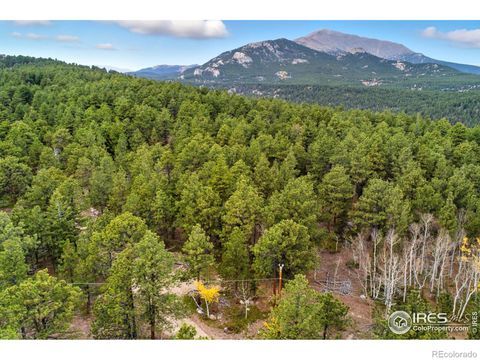 433 County Road 84 W Allenspark CO 80510
