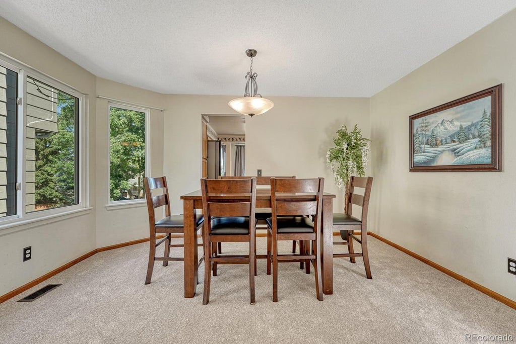 Photo of 749 Redwood Court, Highlands Ranch, CO 80126 (MLS # 4979947)