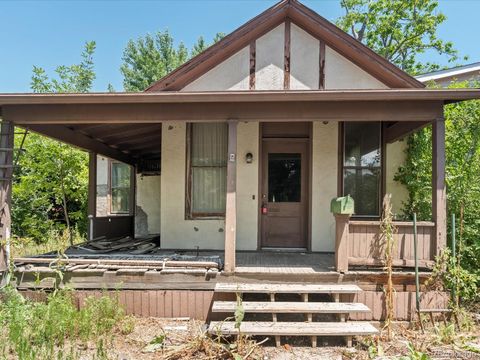 Single Family Residence in Denver CO 1954 Logan Street 2.jpg