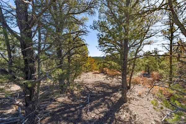 29870 COUNTY ROAD 16, TRINIDAD, CO 81082 - Image e7f5cc7e452633d2bcbdae01a9fed999/3033012900