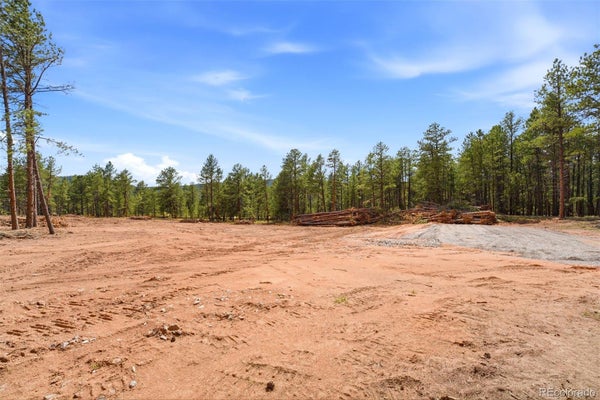205 SOURDOUGH RD, WOODLAND PARK, CO 80863 - Image e84bddc6a6f7caf65352017aa5dc1142/3099688433