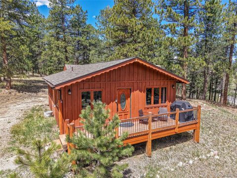 700 Rosalie Road Bailey CO 80421