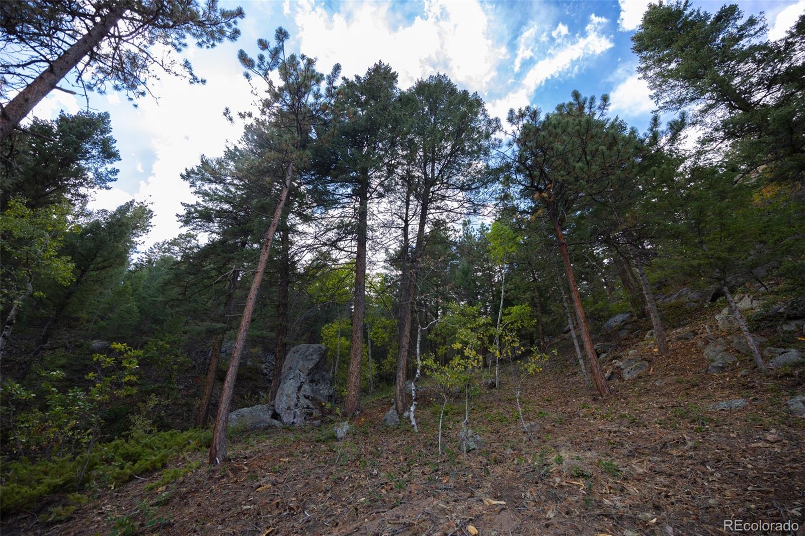 9489 S Turkey Creek Road