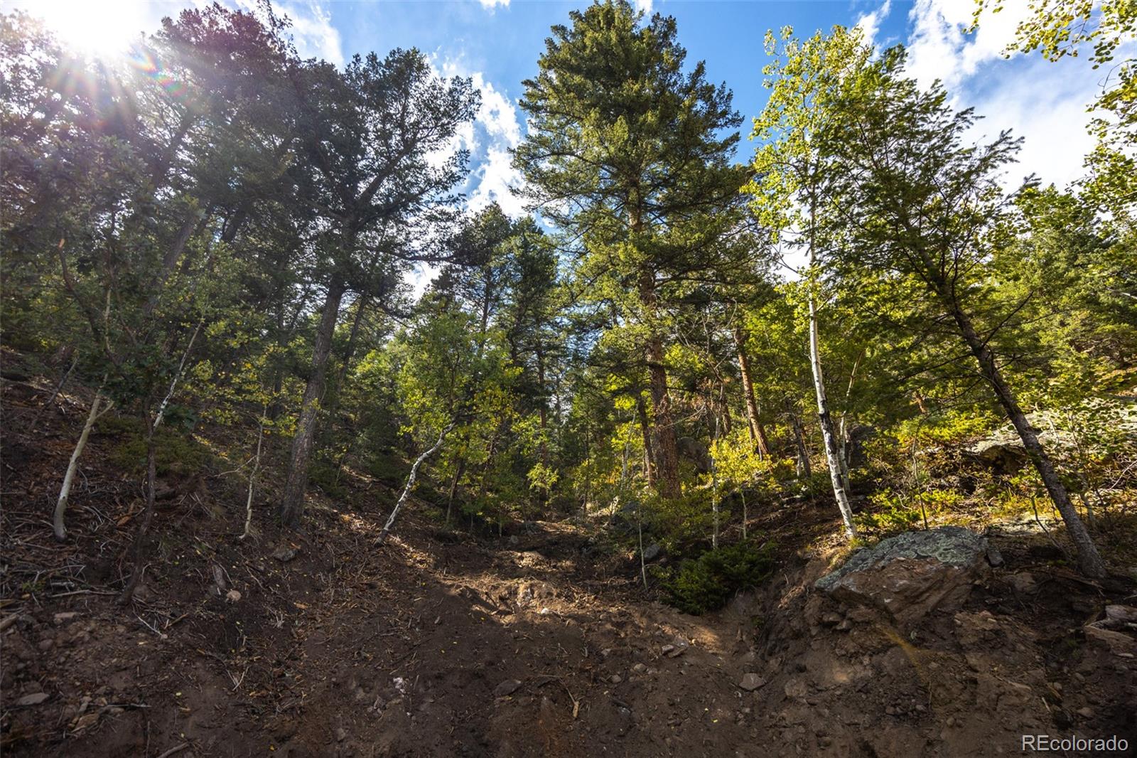 9489 S Turkey Creek Road