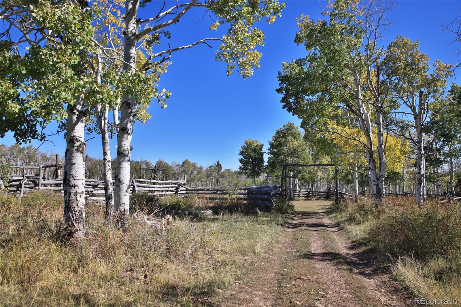 000 Divide Road