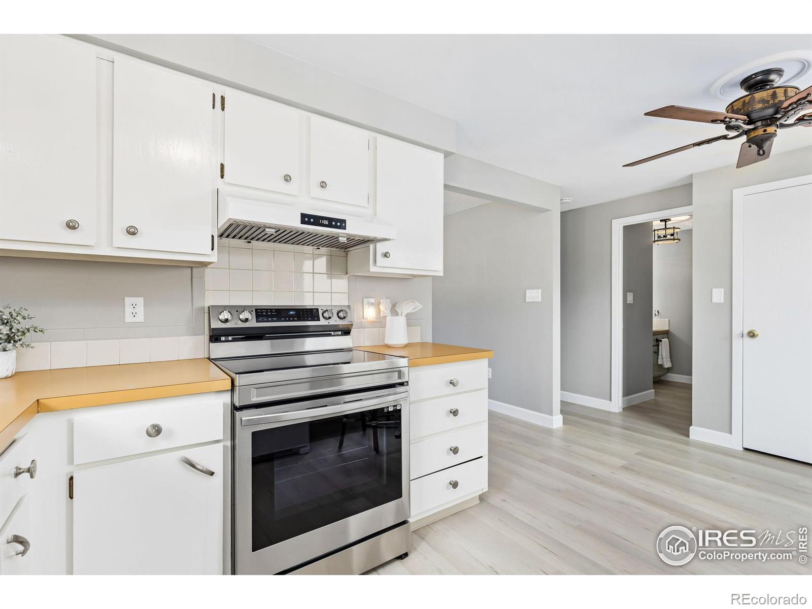 159 Judson Street, Longmont, CO, 80501 4 159 Judson Street