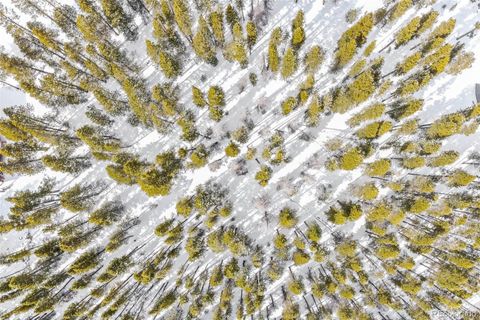 709/710 Texas Dr Idaho Springs CO 80542