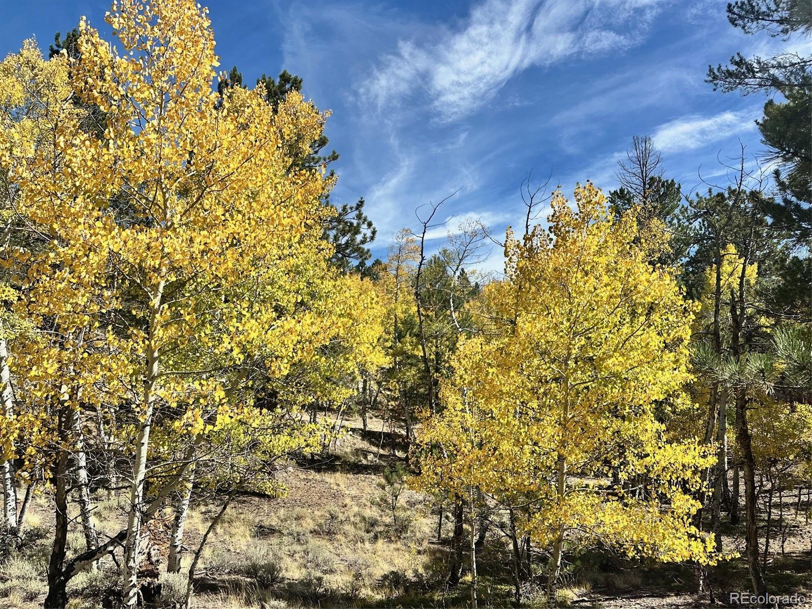 142 La Plata Peak Drive