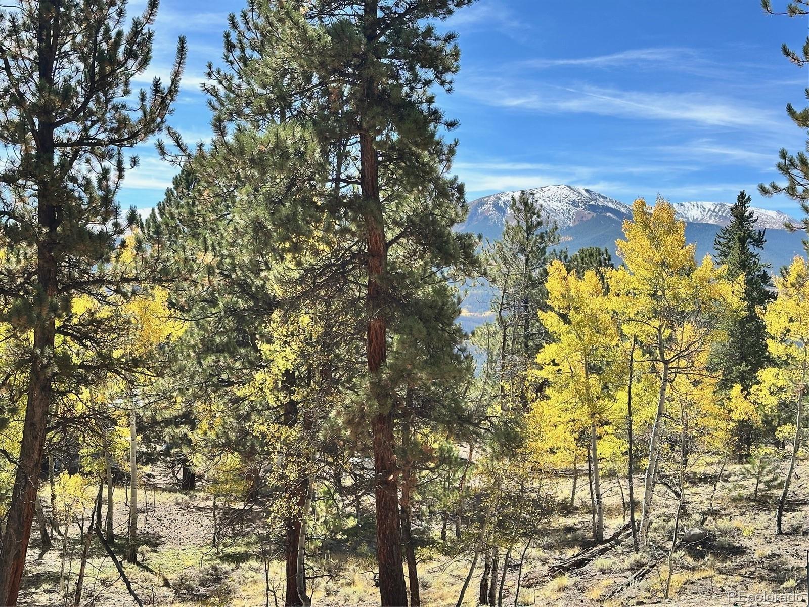 142 La Plata Peak Drive