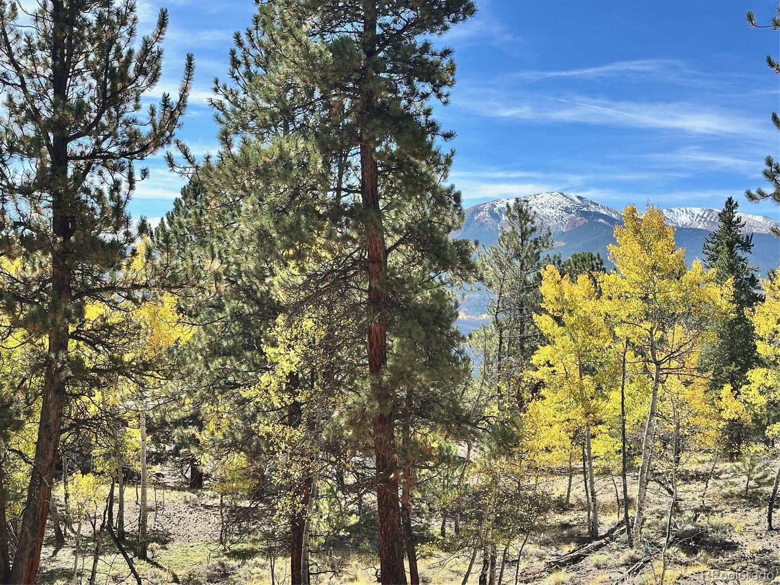 142 La Plata Peak Drive