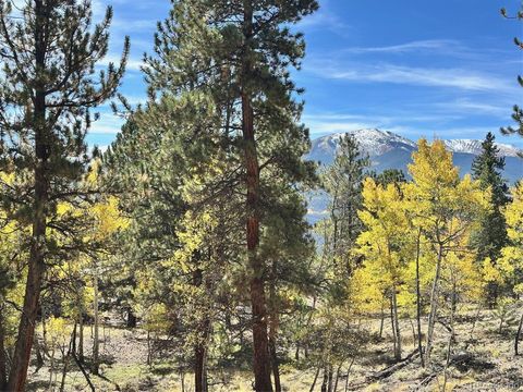 142 La Plata Peak Drive Twin Lakes CO 81251