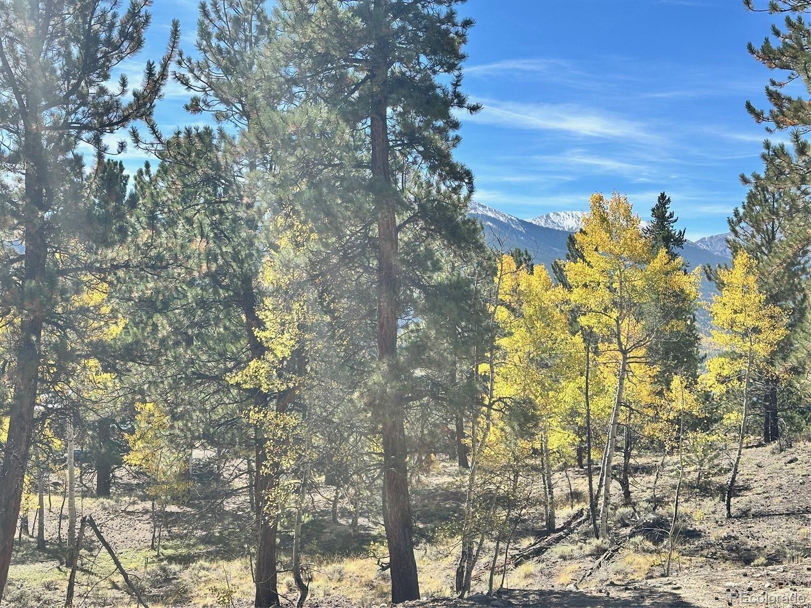 142 La Plata Peak Drive