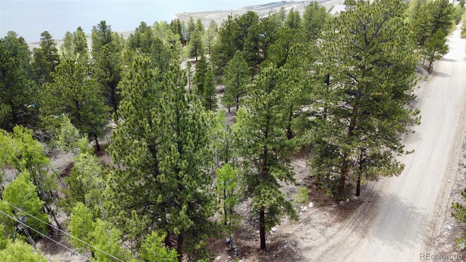 142 La Plata Peak Drive
