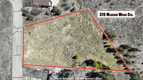 370 Meadow Wood Circle Dillon CO 80435