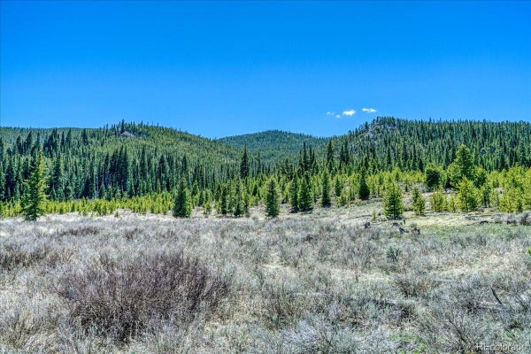 370 MEADOW WOOD CIR, DILLON, CO 80435 - Image e95a8a87e1510cdc5e454f10ac91f902/3695563588