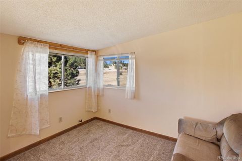 Single Family Residence in Florissant CO 272 Spring Valley Trail 10.jpg