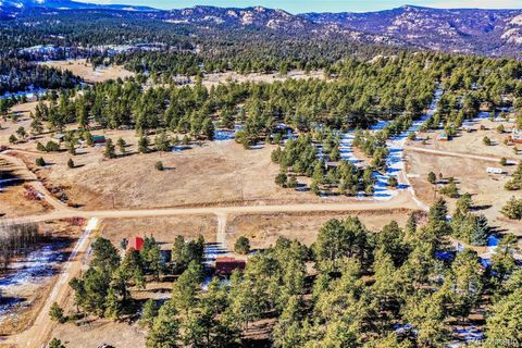 Single Family Residence in Florissant CO 272 Spring Valley Trail 47.jpg