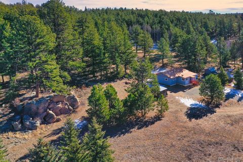 Single Family Residence in Florissant CO 272 Spring Valley Trail 43.jpg