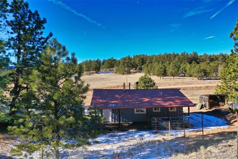 Single Family Residence in Florissant CO 272 Spring Valley Trail 33.jpg