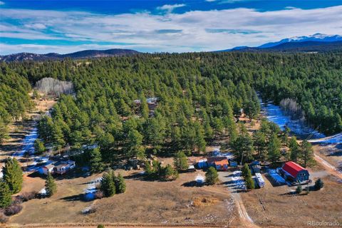 Single Family Residence in Florissant CO 272 Spring Valley Trail 42.jpg