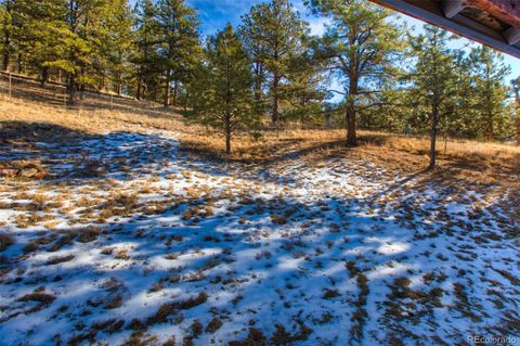 Single Family Residence in Florissant CO 272 Spring Valley Trail 32.jpg