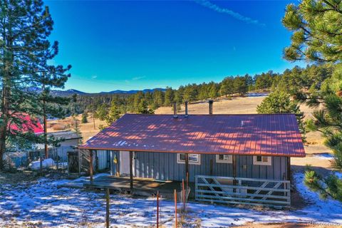 Single Family Residence in Florissant CO 272 Spring Valley Trail 34.jpg