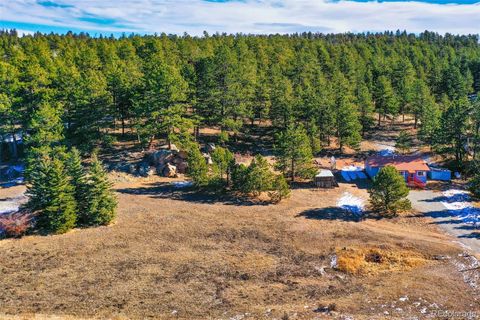 272 Spring Valley Trail, Florissant, CO 80816 - #: 2650323