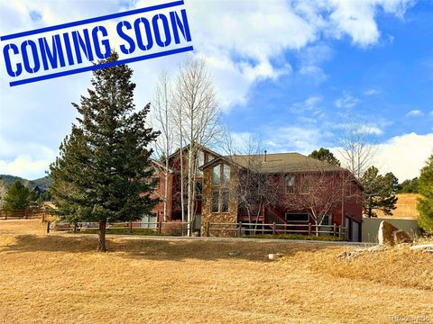 Photo of 7307 Settlers Drive, Morrison, CO 80465 (MLS # 9562283)