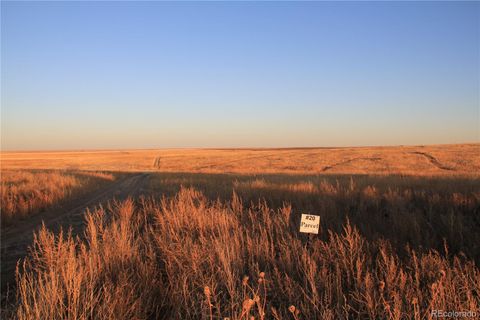 Unimproved Land in Strasburg CO Pass Me By Road 1.jpg