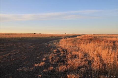 Unimproved Land in Strasburg CO Pass Me By Road 2.jpg