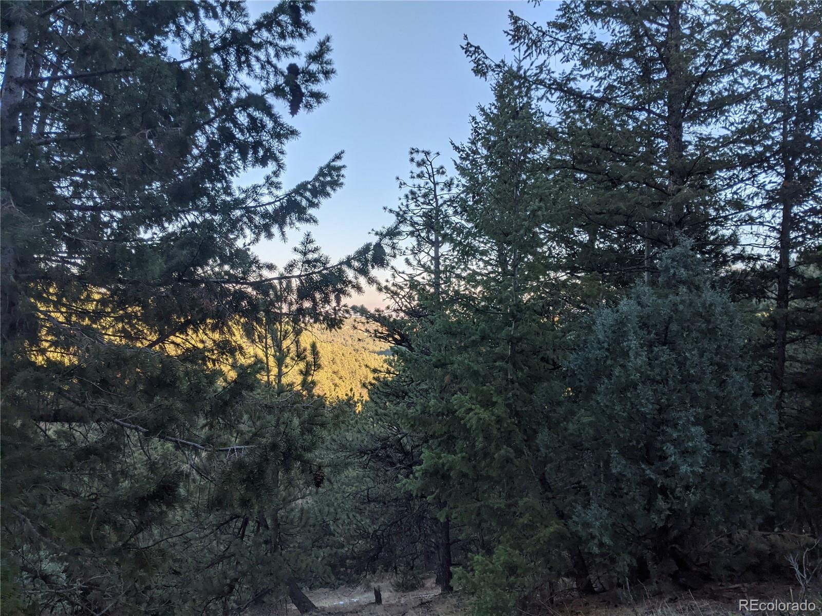 105 Millionaire Drive E