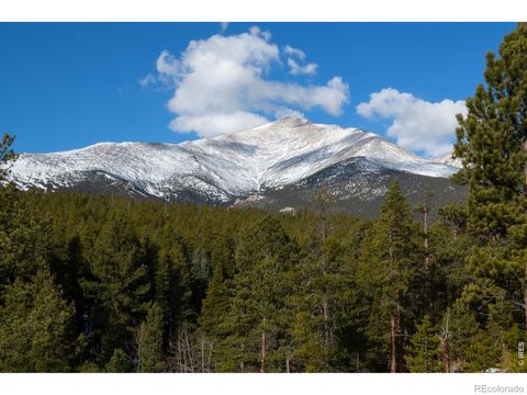 1997 Big Owl Road Allenspark CO 80510