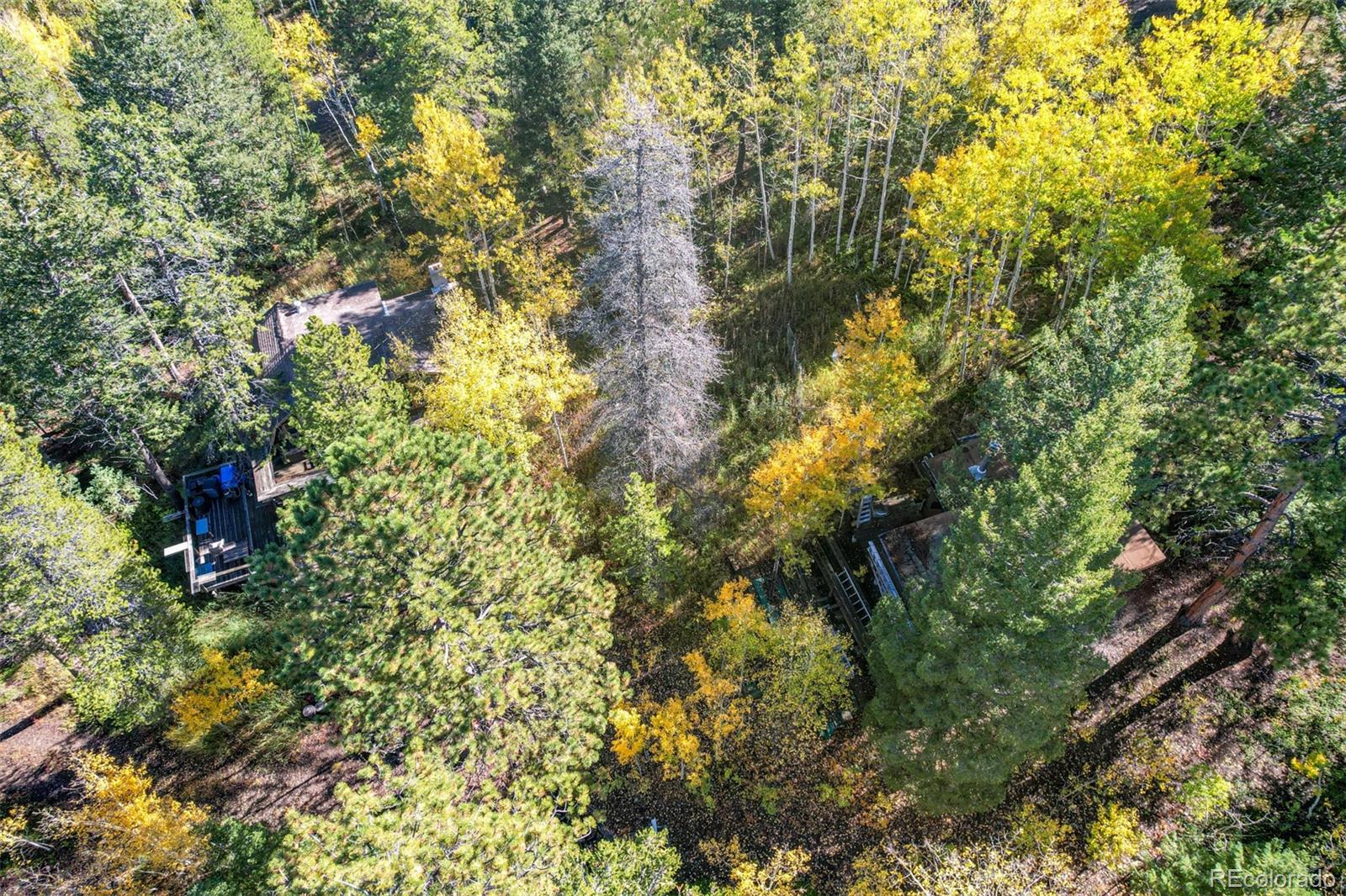 7995 Baker Road, Golden, CO, 80403 4 7995 Baker Road