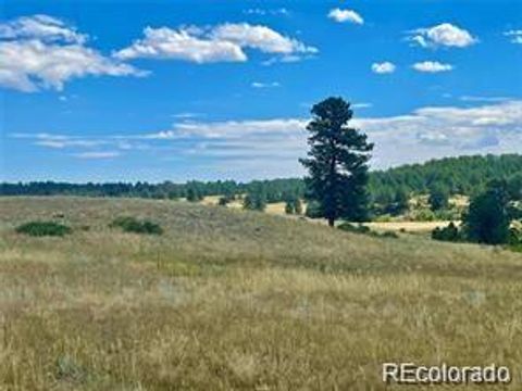 11726 CR 102 Elbert CO 80116