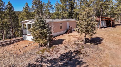 509 John Drive Divide CO 80814