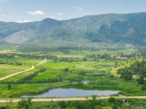 4485 Delaware Drive Larkspur Co 80118