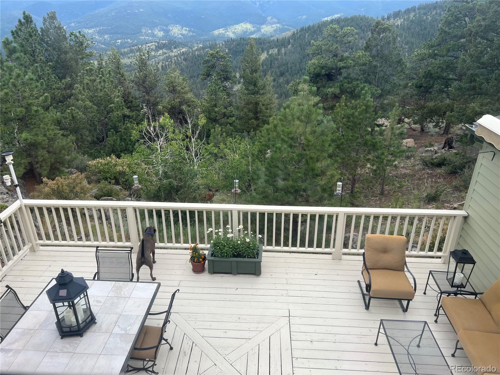 220 Ravenswood Court