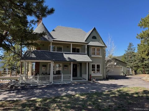 220 Ravenswood Court Bailey CO 80421