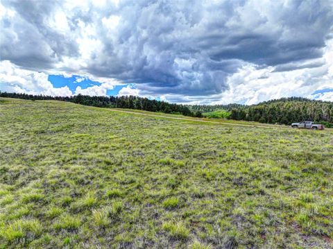 0 County Rd 403, Florissant, CO 80816 - #: 8169075