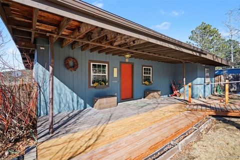 26003 Morris Avenue Conifer CO 80433