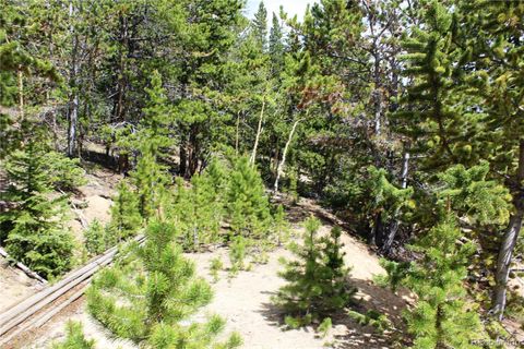Group 2-1 Lamertine Road Idaho Springs CO 80452