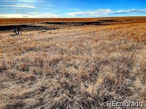 9175 Prospect Way Road