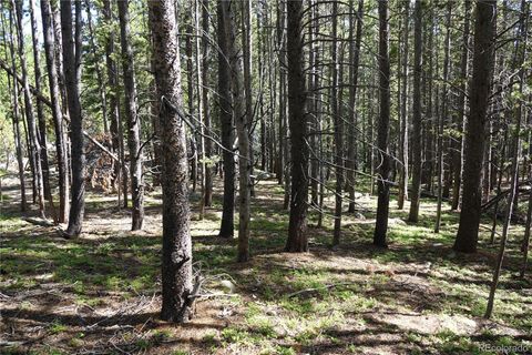 00 Upper Forest Rd, Idaho Springs, CO 80452 - #: 7723681