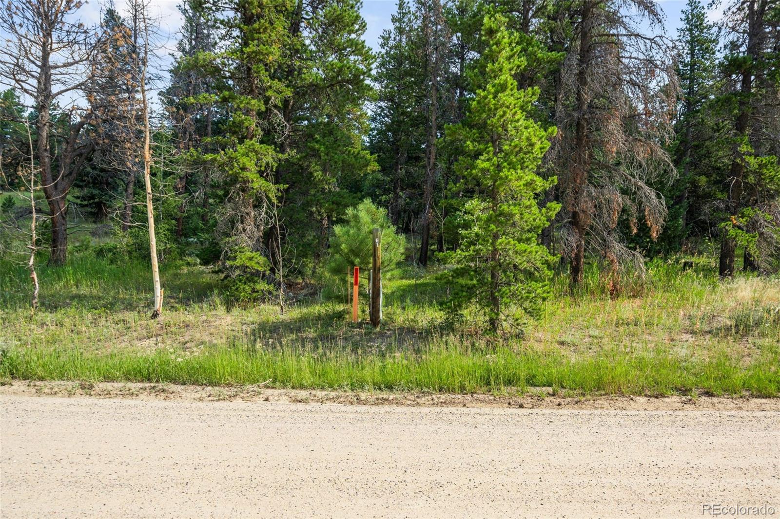 103 Juniper Road