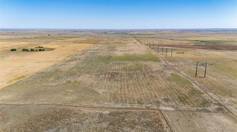 4880 S County Road 137 Bennett CO 80102